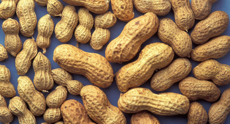 Should My Child Try Peanut Allergy Treatment?